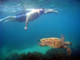 The Madagascar Scuba Diving Tour